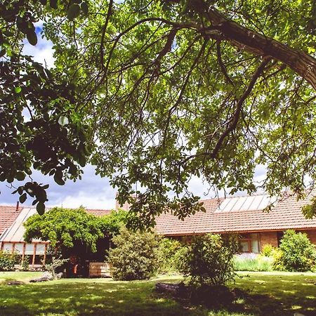 Posada Los Mimbres Gaiman Exterior foto