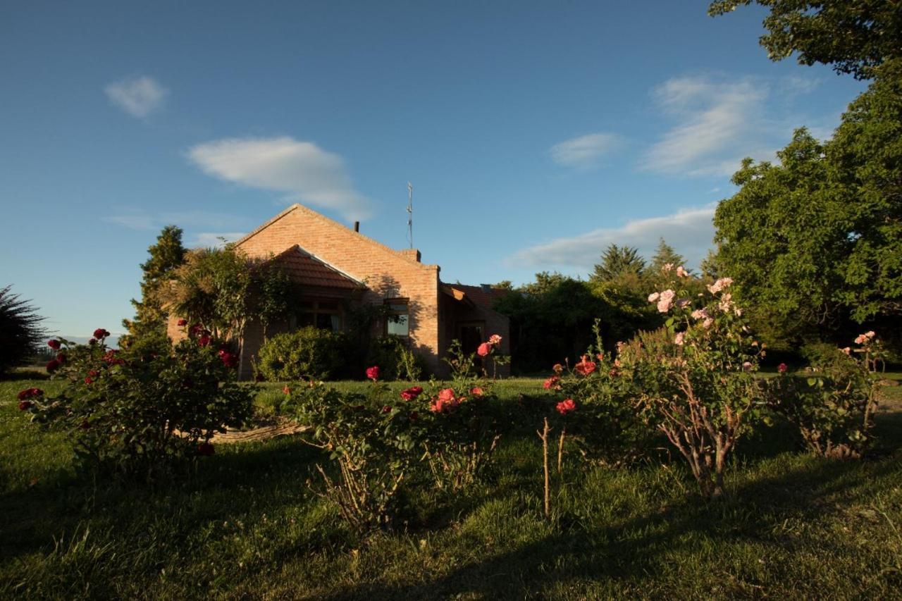 Posada Los Mimbres Gaiman Exterior foto